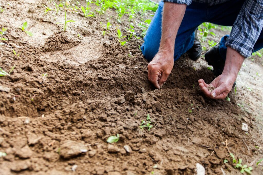 Gartenarbeit Mann Beet Aussaat DIY und Gartenarbeit als Ergänzung zum Sport