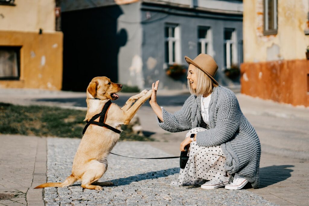 Hund Frau unterwegs Stadt Wie viel Kalorien verbrennt Gassi gehen